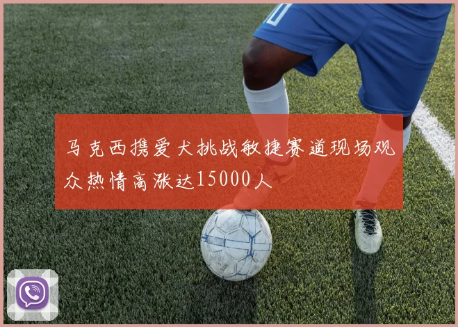 马克西携爱犬挑战敏捷赛道现场观众热情高涨达15000人