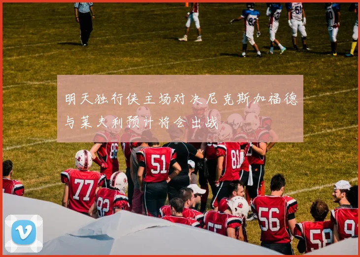 明天独行侠主场对决尼克斯加福德与莱夫利预计将会出战
